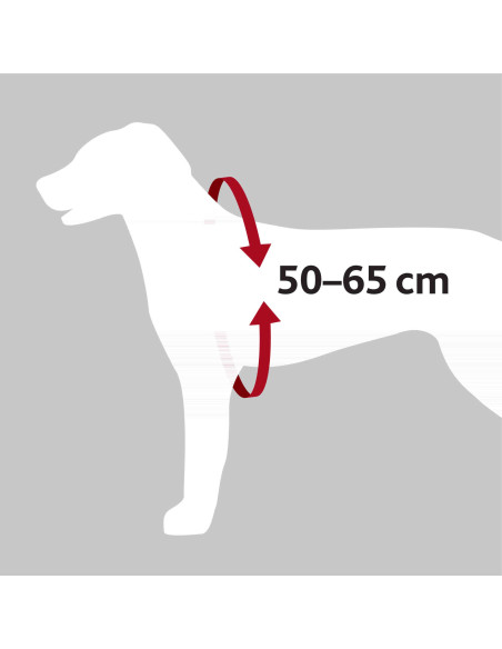 Arnés de Seguridad Acolchado, M