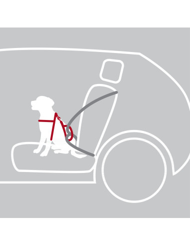 Arnés de Seguridad Acolchado, M