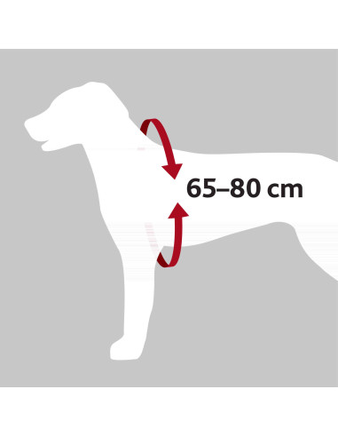 Arnés de Seguridad Acolchado, L